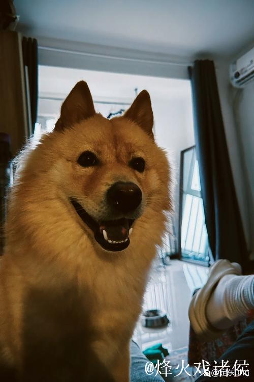 法比安：期待2025年成为非凡之年